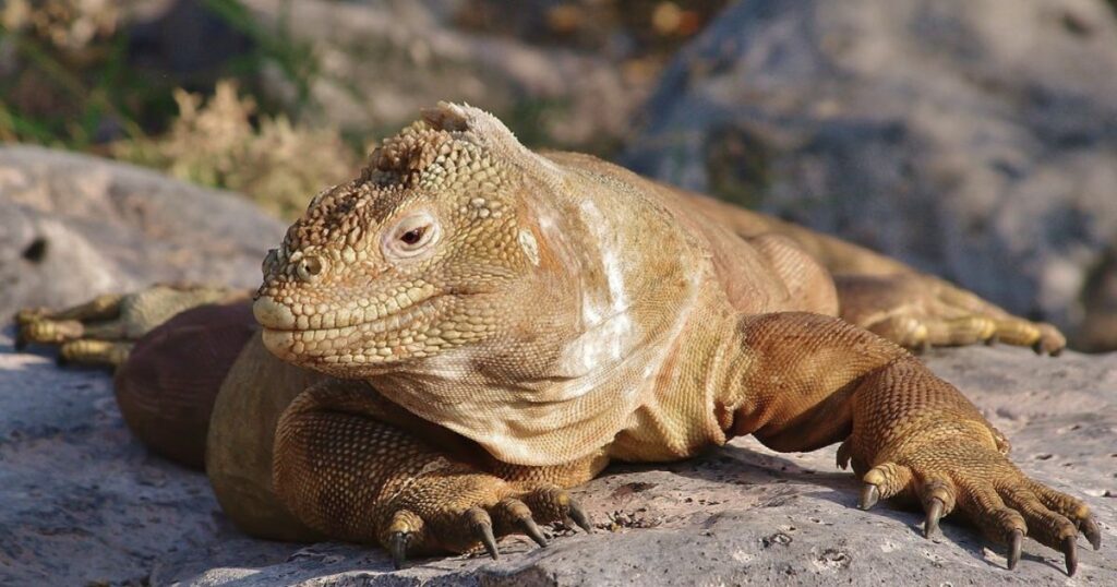 Untitled Design 1024x538